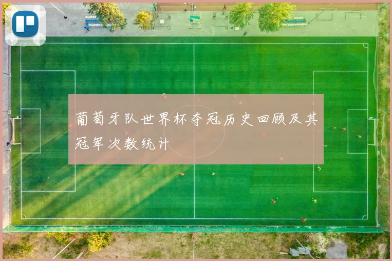 葡萄牙队世界杯夺冠历史回顾及其冠军次数统计